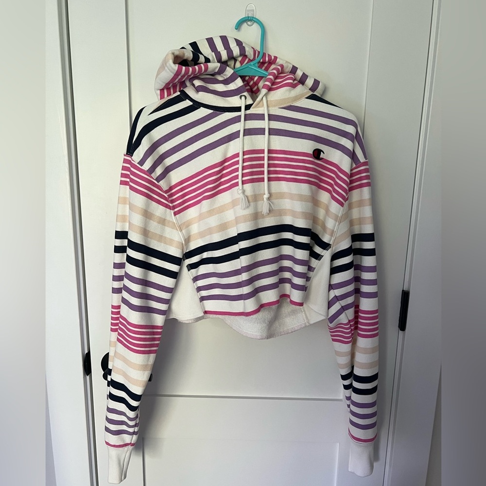 Urban Outfitters Champion Striped Cropped Hoodie